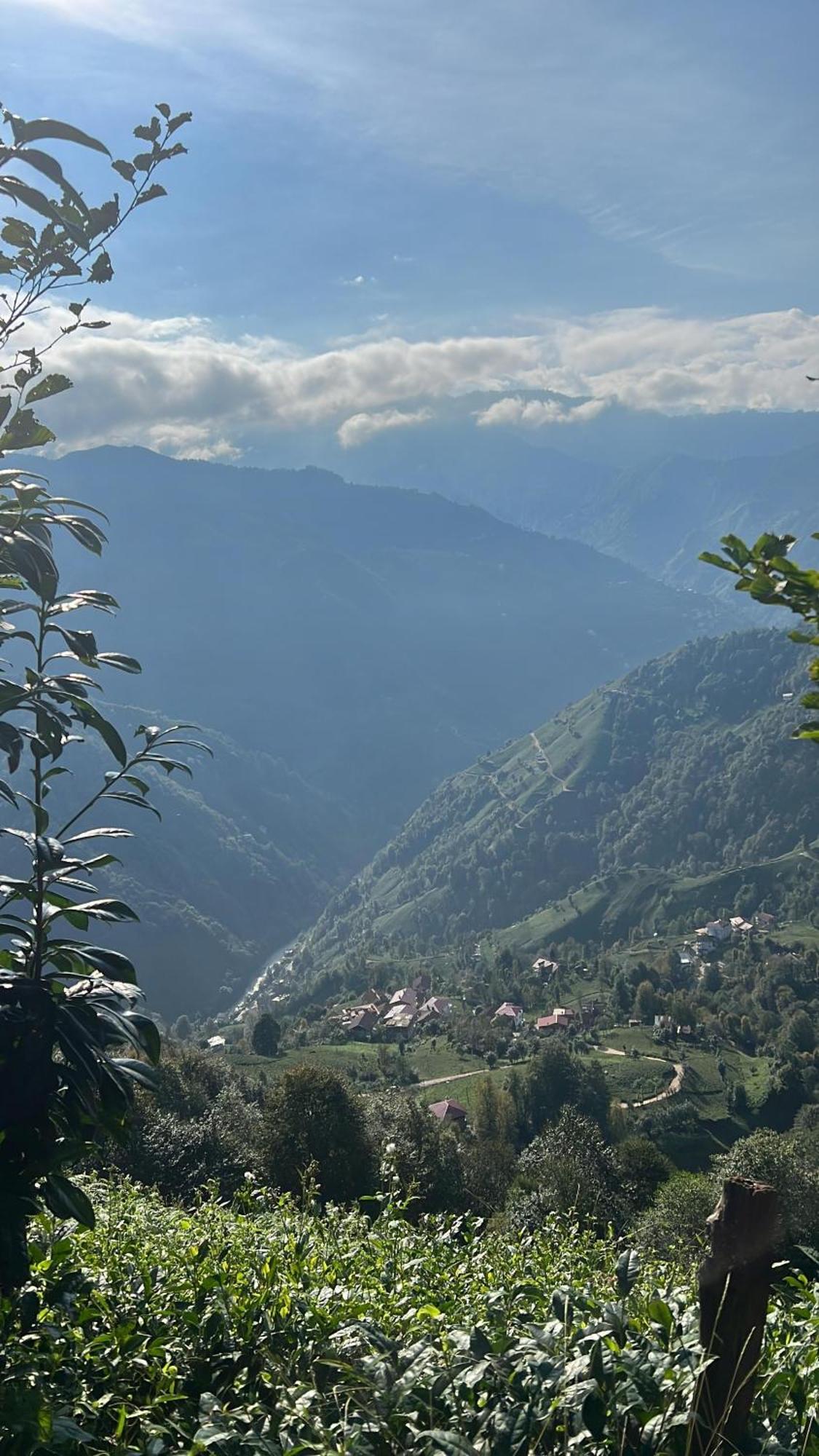 Pera Bungalov Ardeşen Extérieur photo