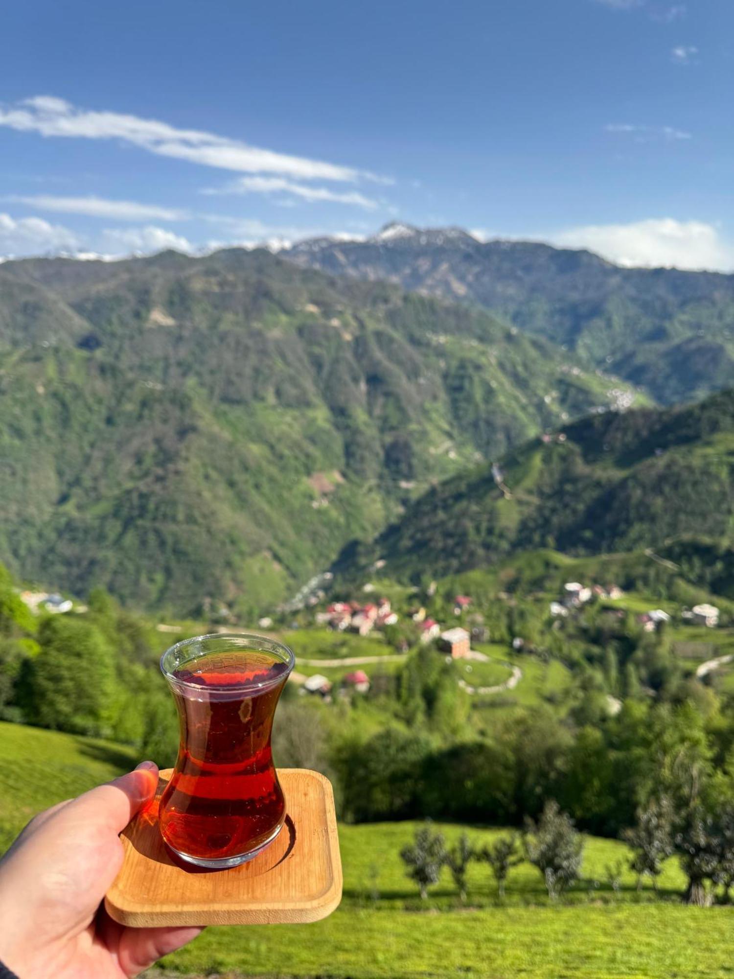 Pera Bungalov Ardeşen Extérieur photo